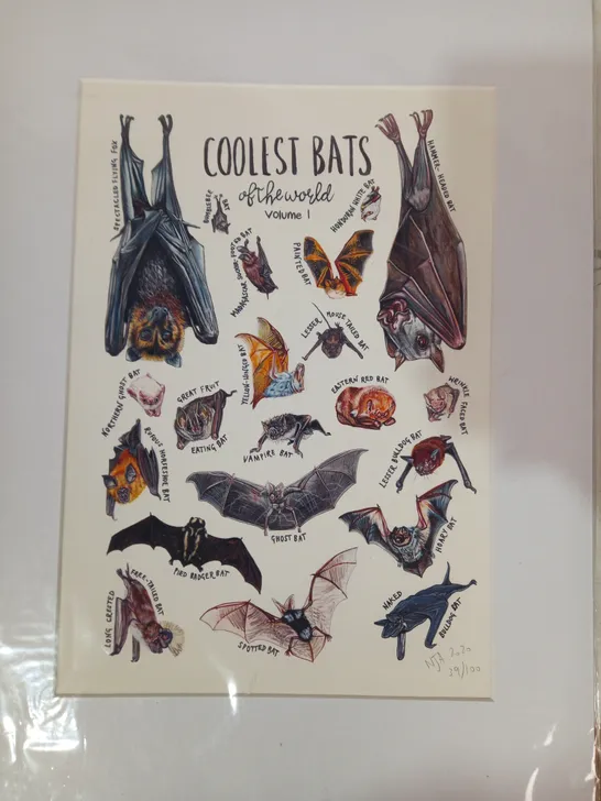 LIMITED EDITION COOLEST BATS OF THE WORLD VOLUME 1 PAINTING - NAOMI JOY ART (2020) 39/100