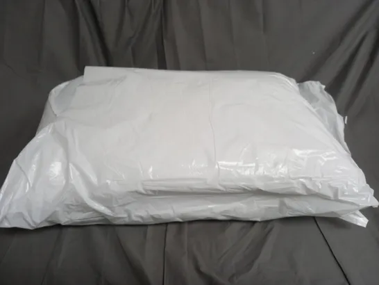 BAGGED SET OF 2 PILLOWS