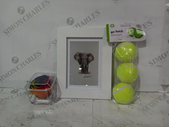 BOX OF APPROXIMATELY 15 ASSORTED HOUSEHOLD ITEMS TO INCLUDE GO FETCH TENNIS BALLS, DECORATIVE FRAMED ELEPHANT PRINT, DECORATIVE MULTICOLOUR ROSE, ETC