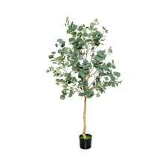 BOXED ARTIFICIAL EUCALYPTUS TREE WITH SILVER DOLLAR LEAVES